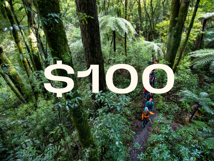 $100 Gift Voucher