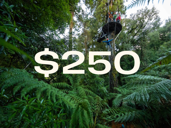 $250 Gift Voucher