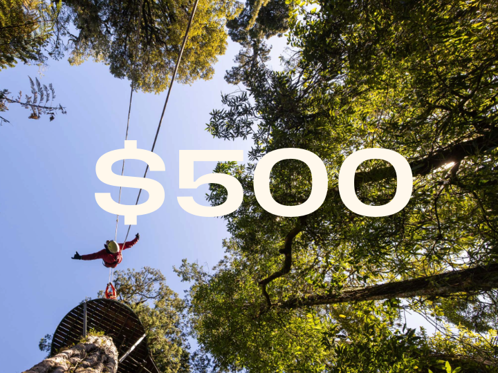 $500 Gift Voucher